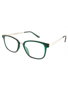 GAFAS NORDICVISION ALINGSAS +2.00