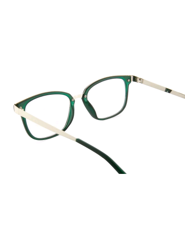 GAFAS NORDICVISION ALINGSAS +1.00