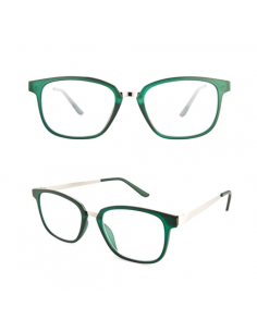 GAFAS NORDICVISION ALINGSAS +2.50