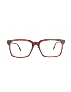 GAFAS NORDICVISION BORGHOLM +2.50