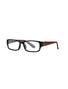 GAFAS NORDICVISION KOPING +2.00