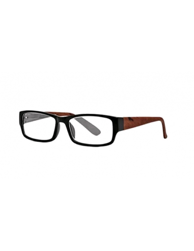 GAFAS NORDICVISION KOPING +2.00