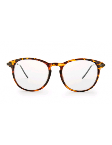 GAFAS NORDICVISION NASSJO +2.50