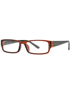 GAFAS NORDICVISION SATER +1.00