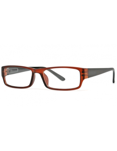 GAFAS NORDICVISION SATER +1.00